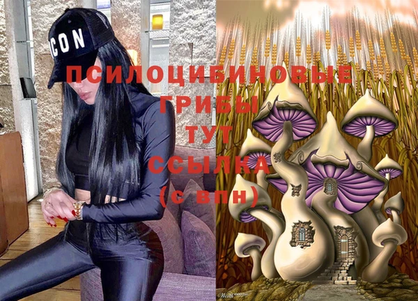 винт Арсеньев