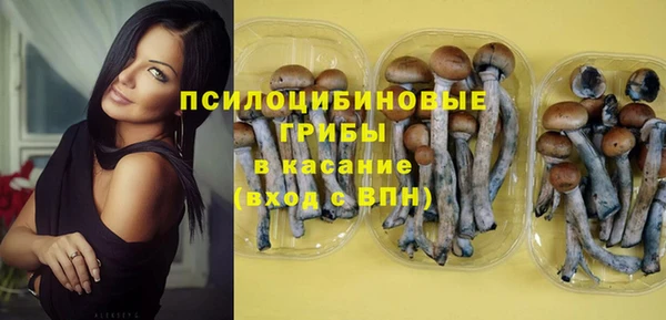 винт Арсеньев