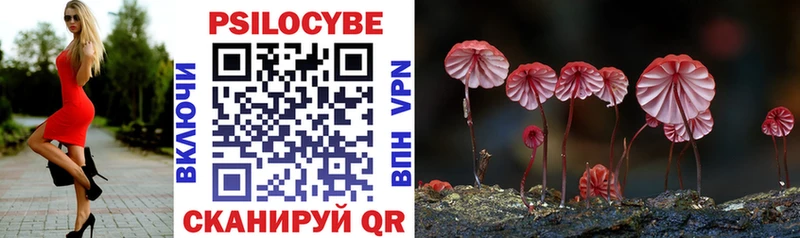 Купить где  Орёл  Галлюциногенные грибы Psilocybe 